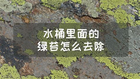水桶里的綠苔怎么去除,水桶里的綠苔怎么去除最佳縮略圖