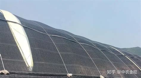 遮陽網安裝(遮陽網安裝視頻)縮略圖