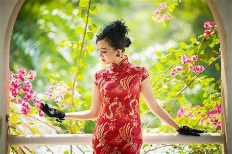 旗袍美人的贊美,旗袍美人的贊美之詞縮略圖