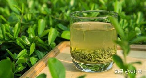 茗茶十大品牌排行榜,茗茶十大品牌排行榜最新縮略圖