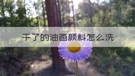美術(shù)顏料怎么洗,美術(shù)顏料怎么洗掉縮略圖