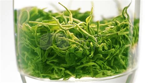 毛尖茶,毛尖茶的正確沖泡方法縮略圖