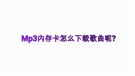 內存卡怎么下歌曲(內存卡怎么下載歌曲)縮略圖