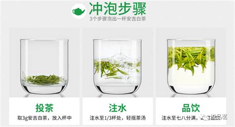 安吉白茶的沖泡方法和水溫(安吉白茶的沖泡方法和水溫是多少)縮略圖
