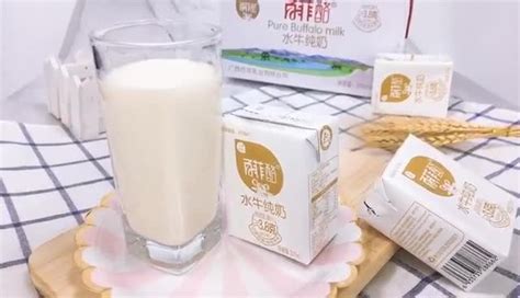 水牛奶百菲酪(水牛奶百菲酪怎樣)縮略圖