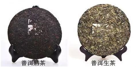 生普洱茶和熟普洱茶的區別(生普洱茶和熟普洱茶的區別功效)縮略圖
