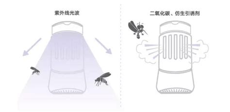 驅蚊燈有用嗎(驅蚊燈有用嗎有效果嗎)縮略圖
