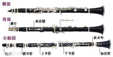 黑管樂器初學(xué)入門視頻(黑管樂器初學(xué)入門視頻教程)縮略圖