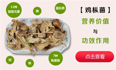 雞縱菌需要焯水嗎,雞縱菌需要焯水嗎知乎縮略圖