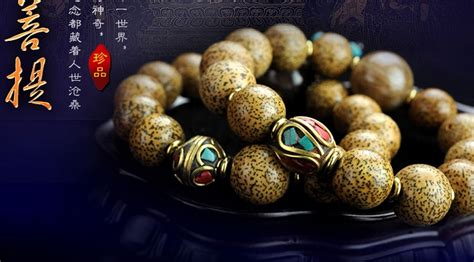 菩提子(菩提子的種類及圖片)縮略圖