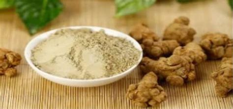 回春草能提高性功能嗎,回春草能提高性功能嗎回春草圖片縮略圖