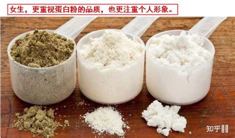 蛋白粉適合什么人群吃(蛋白粉適合什么人群吃的)縮略圖