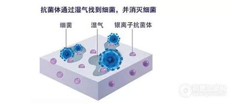 銀離子除菌靠譜嗎,銀離子對人體的危害縮略圖