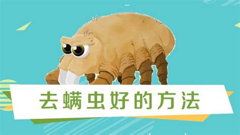 被褥除螨蟲最有效方法(被褥除螨蟲最快最有效方法)縮略圖