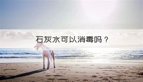 石灰水可以食用嗎(石灰水可以食用嗎 知乎)縮略圖