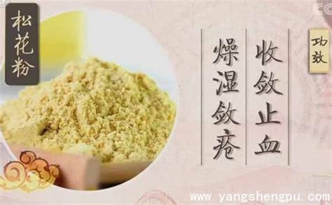 松花粉的藥用功效與作用,松花粉的藥用功效與作用及副作用縮略圖