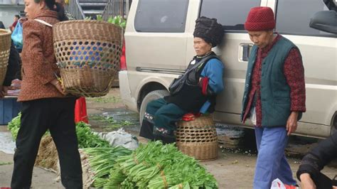 背簍人家,背簍人家山南縮略圖