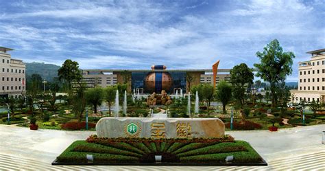金徽酒股份有限公司的公司簡介(金徽酒股份有限公司的公司簡介隴南春灑什么時(shí)候推出呀)縮略圖