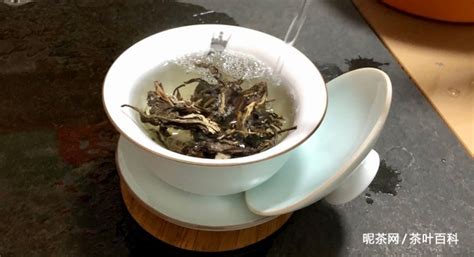 普洱生茶的泡法,普洱生茶的泡法的視頻縮略圖