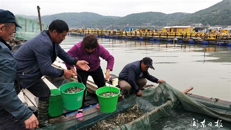 漁具批發市場在什么地方,廣州漁具批發市場新址在什么地方縮略圖