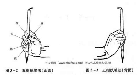 毛筆的正確握筆方法(毛筆的正確握筆方法視頻)縮略圖