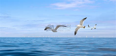 海歐飛,海鷗飛處彩云飛縮略圖