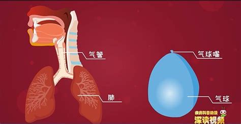 氣管里有異物咳不出來怎么辦,氣管里有痰咳不出來怎么辦縮略圖
