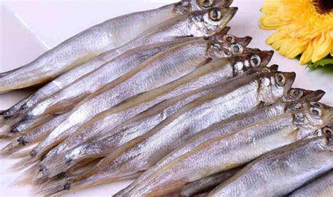 多春魚,多春魚的做法縮略圖