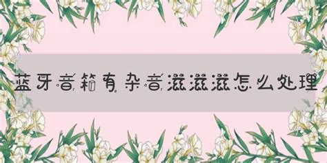 音箱有雜音滋滋滋怎么處理(電腦音箱有雜音滋滋滋怎么處理)縮略圖