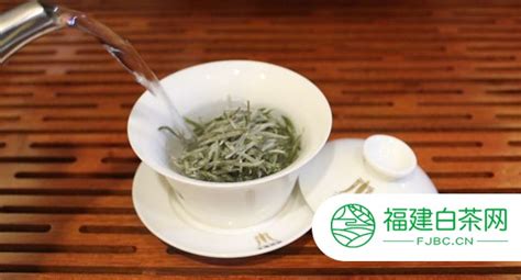 白毫銀針沖泡法(白毫銀針沖泡法水溫)縮略圖