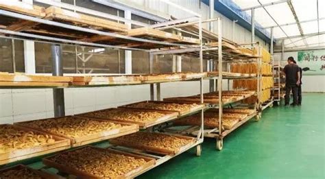 豆制品加工廠(豆制品加工廠利潤怎么樣)縮略圖