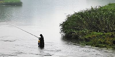 釣魚人天氣預報手機版下載,釣魚人天氣預報在哪里下載縮略圖