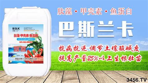 甲殼素的功效與作用(甲殼素的功效與作用是什么)縮略圖