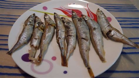 多春魚清洗及制作方法(多春魚清洗及制作方法視頻)縮略圖