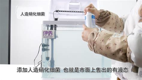 硝化細菌怎么培養(yǎng)(硝化細菌怎么培養(yǎng)快)縮略圖