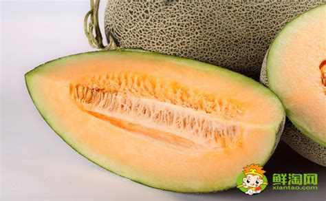 黃金瓜價(jià)格多少錢一斤(黃金瓜市面價(jià)多少錢一斤)縮略圖