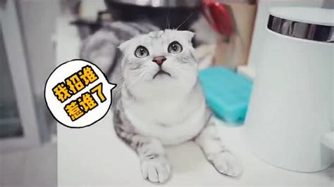 馬達與發(fā)財,馬達與發(fā)財微博縮略圖