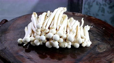 白玉菇,白玉菇的家常做法縮略圖