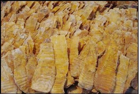 筍干價格多少錢一斤(筍干批發價格多少錢一斤)縮略圖