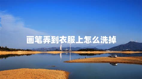 畫筆怎么洗掉(畫筆怎么洗掉顏色)縮略圖