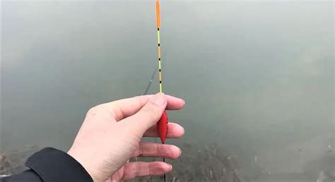 魚漂怎么選擇吃鉛量,魚漂怎么選擇吃鉛量大小縮略圖