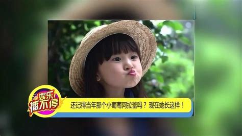 小葡萄阿拉蕾(小葡萄阿拉蕾長大)縮略圖