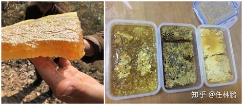 蜂巢蜜吃了有什么好處,蜂巢蜜吃了長胖嗎縮略圖