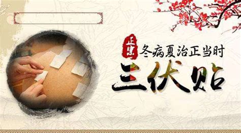 三伏貼宣傳文案(三伏貼宣傳文案朋友圈)縮略圖