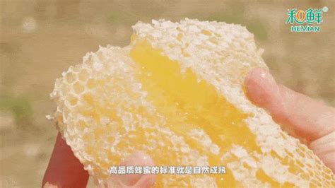 槐花蜜怎么分辨真假,槐花蜜是什么顏色縮略圖