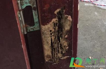 門框脫落了怎么修,門框脫落了怎么修視頻教程縮略圖