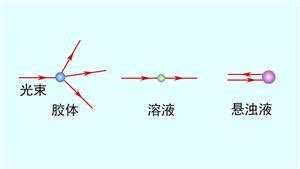 達利園效應和丁達爾效應的區別(達利園效應和丁達爾效應的區別是什么)縮略圖