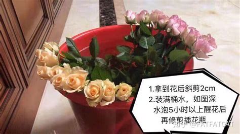 鮮花怎么醒花方法(鮮花醒花的正確方法)縮略圖