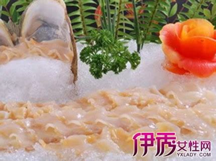 象牙蚌的功效和作用(象牙蚌的功效和作用圖片)縮略圖