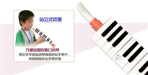 口風琴品牌排行榜,口風琴品牌排行榜前十名縮略圖